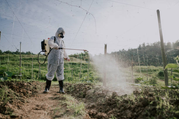Best Commercial Pest Control Services  in Tuscarawas, OH