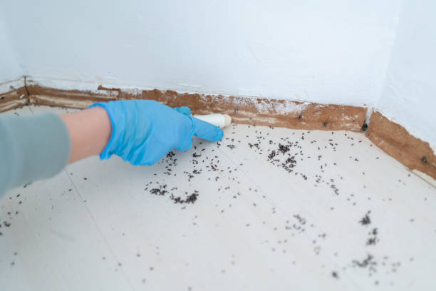 Best Pest Control for Restaurants  in Tuscarawas, OH