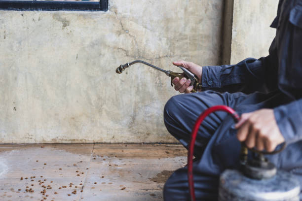 Best Wasp Removal Services  in Tuscarawas, OH